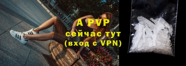 гашик Бежецк