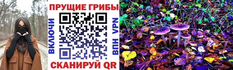 Псилоцибиновые грибы мицелий  Кочубеевское 